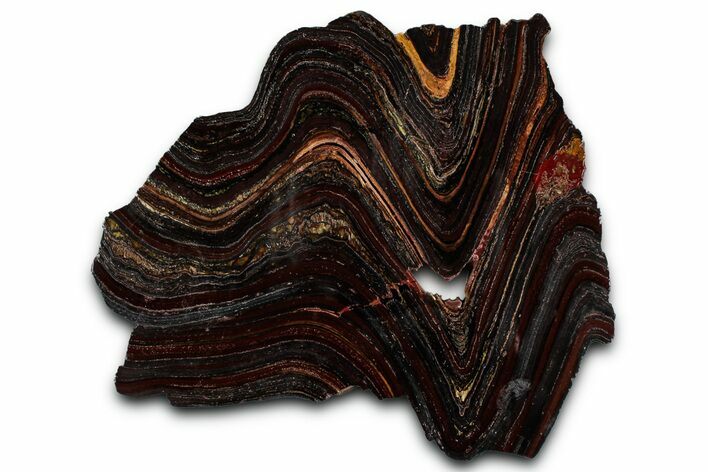 Polished Tiger Iron Stromatolite Slab - Billion Years #351799